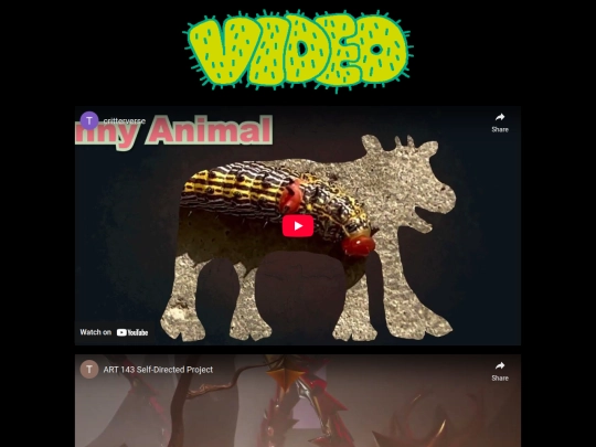 video screenshot