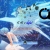 akafae.neocities.org avatar