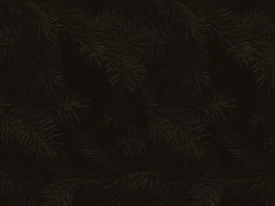 filler-inner screenshot