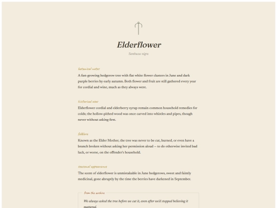 herbarium/elderflower screenshot