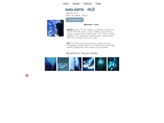aboutmefefe.html screenshot