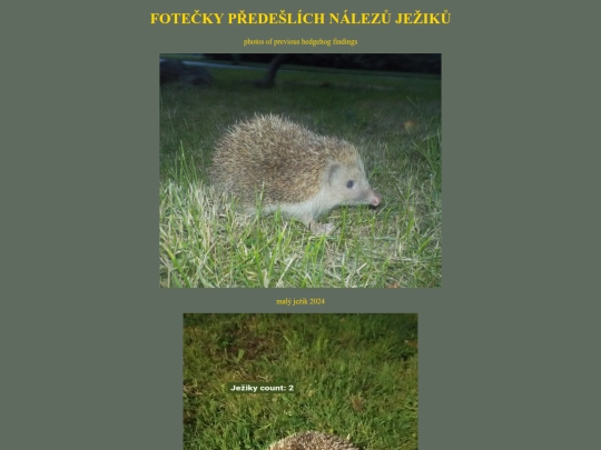 galery screenshot