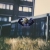 zoo avatar