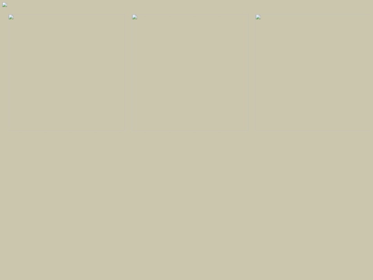 flash/flash screenshot