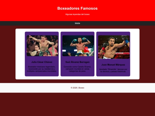 boxeadores screenshot