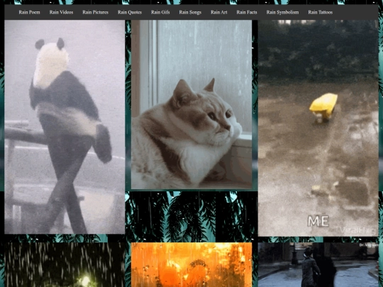 raingifs screenshot