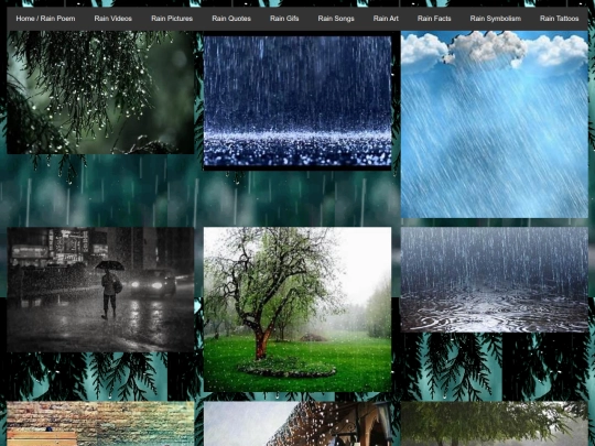 rainpictures screenshot