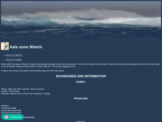 intro-niamh screenshot