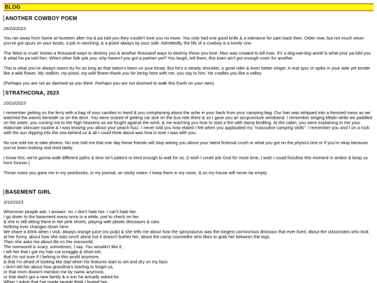 blog screenshot