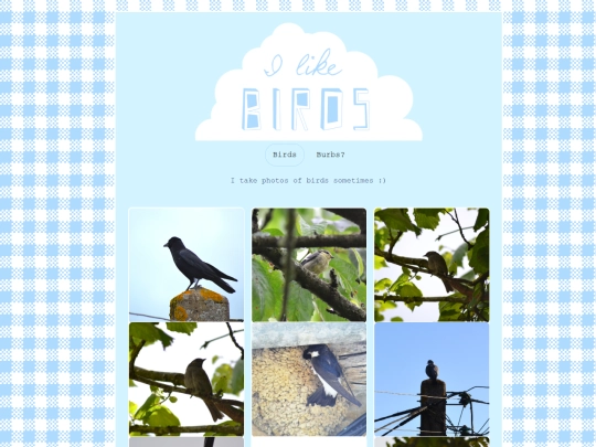 birds screenshot