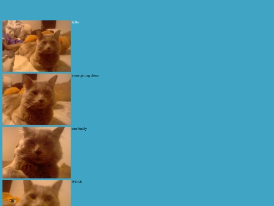 81525photo screenshot