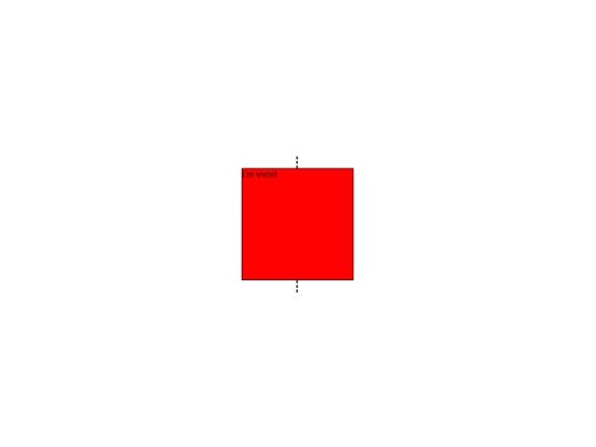 timecube 2.0 screenshot