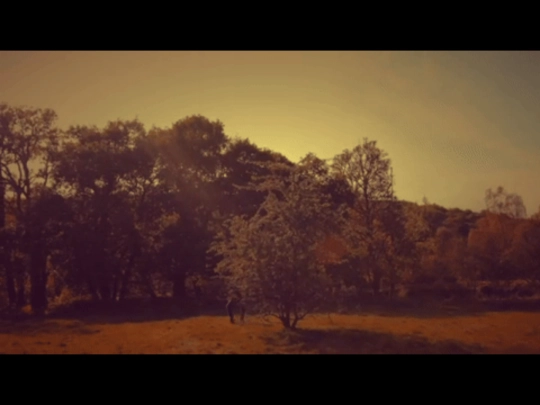 TREE screenshot