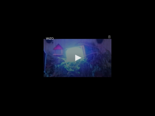 wizo screenshot