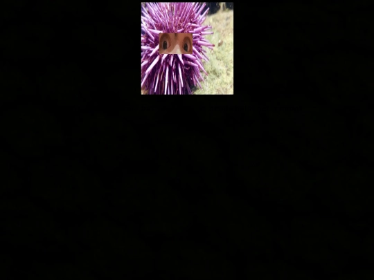 anothermessage screenshot
