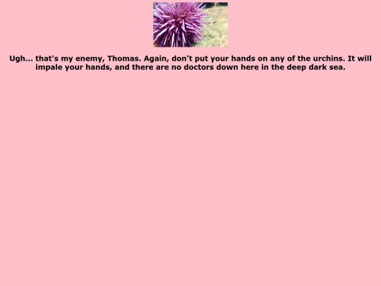 pinkurchin screenshot