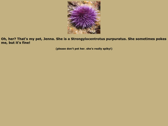 purpleurchin screenshot