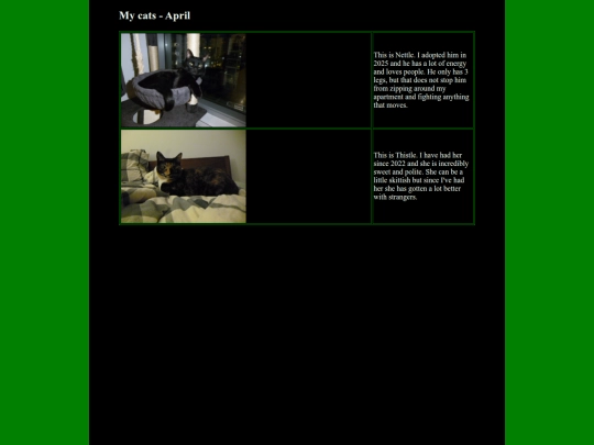 Cat/2026/cat-apr-2026 screenshot