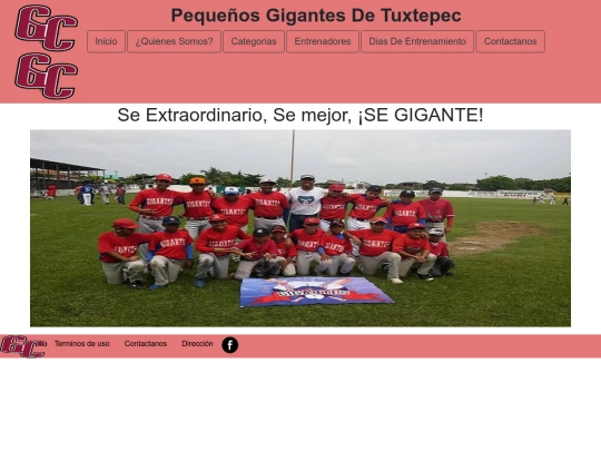 proyecto screenshot