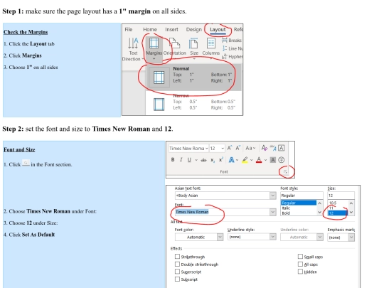 writ_essayformatsteps screenshot