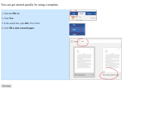 writ_essayformattemplate screenshot