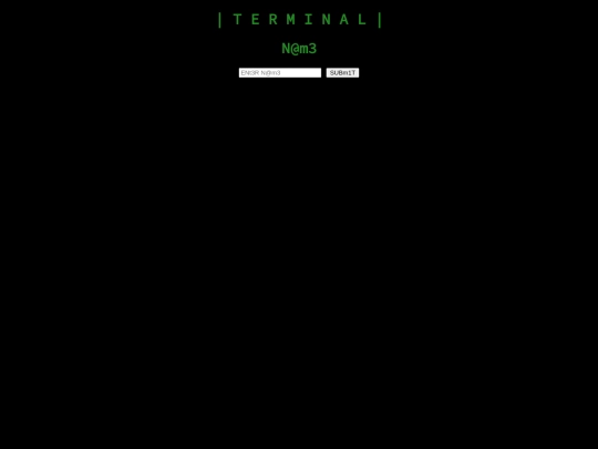 terminal screenshot