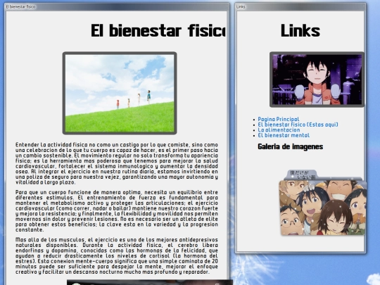 Fisica screenshot