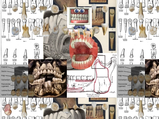teethpage screenshot