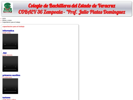 capacitacion para el trabajo  screenshot
