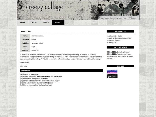themes/004/about screenshot