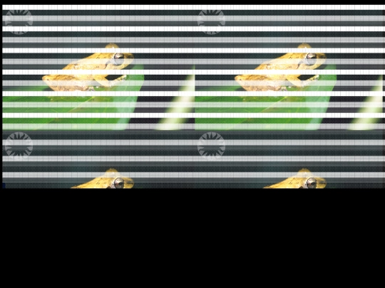 f4 screenshot