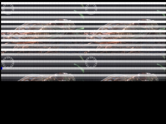 m4 screenshot