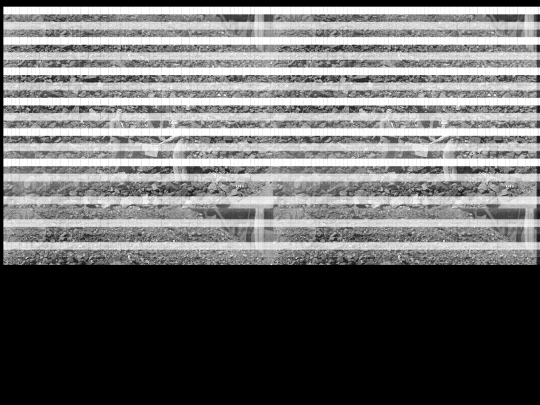 n2 screenshot
