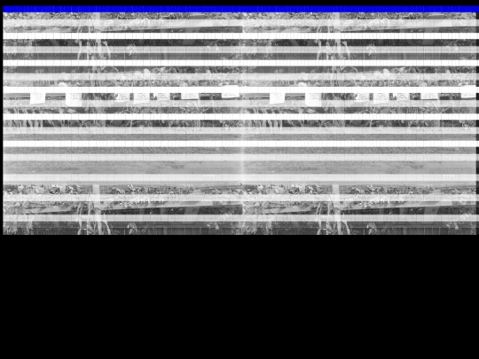 q2 screenshot