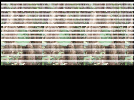 r3 screenshot