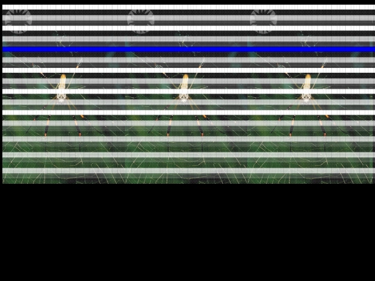 w1 screenshot