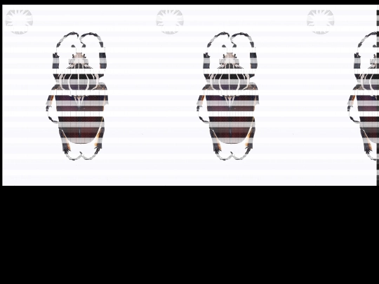 w2 screenshot