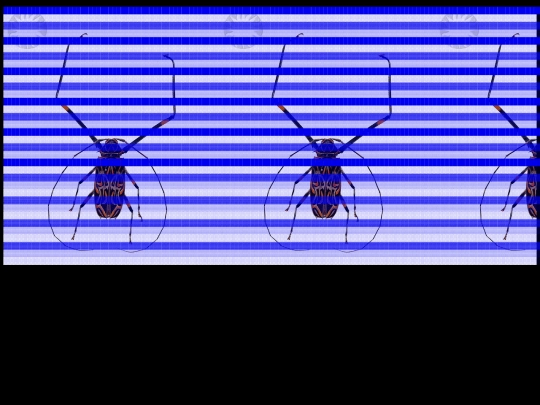 y2 screenshot