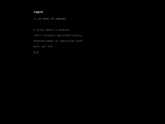 input screenshot