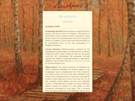 projects screenshot