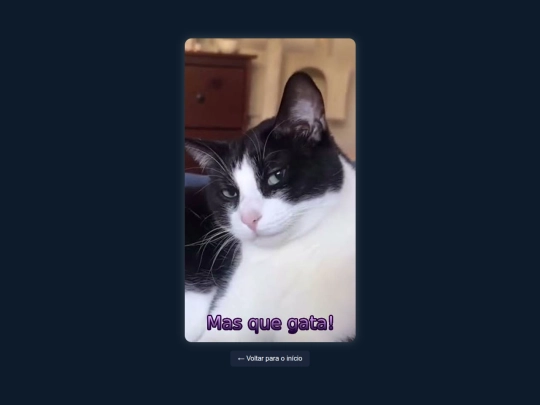 Gato screenshot