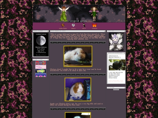 petspage screenshot