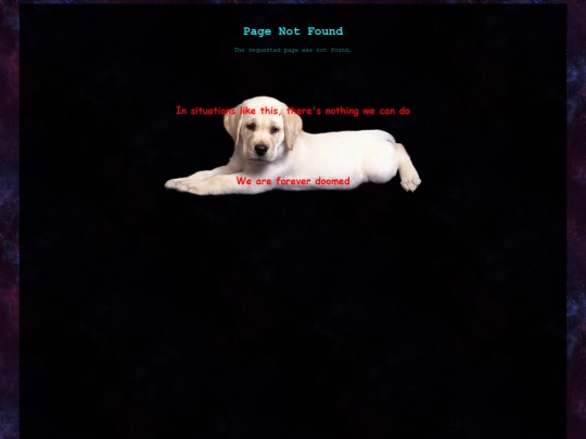 not_found screenshot