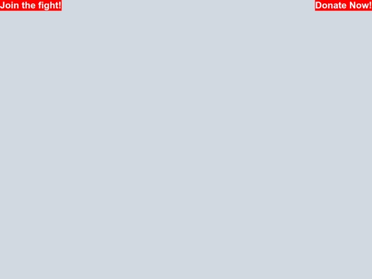 header screenshot