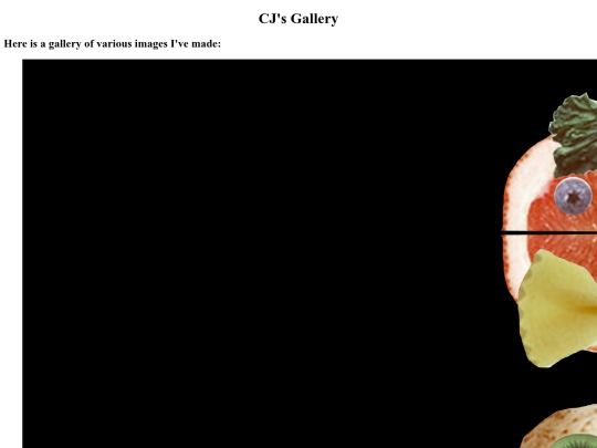 gallery screenshot