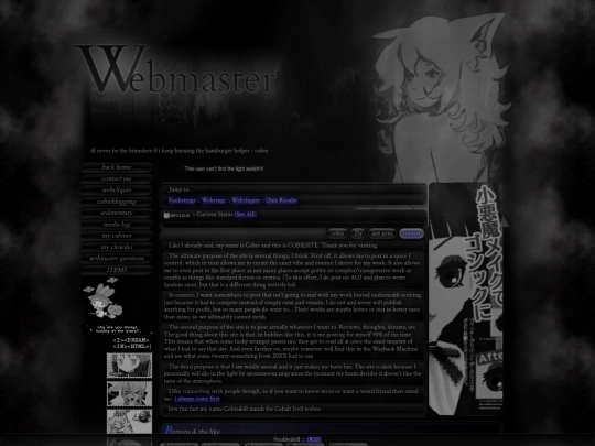 webmaster screenshot