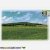  field lamp avatar