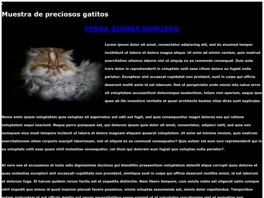 examen screenshot