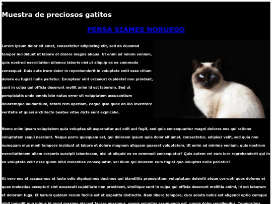 examen/noruego screenshot