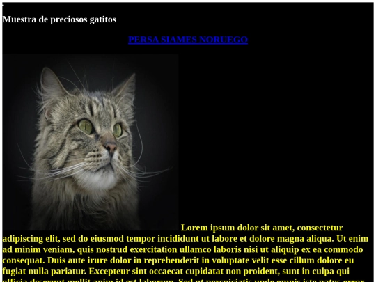 examen/siames screenshot